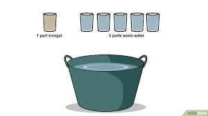 Black And Mild Jazz Plastic Tip 5 Ways To Get Skunk Smell Out Of The House Skunk Smell Skunk Skunk Spray Remedy