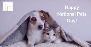 Celebrated on april 11th to highlight the unconditional love pets bring to our lives + to encourage adoption. Aiimintl On Twitter It S Nationalpetday Show Us Your Furry Scaly Fuzzy Feathery Friends