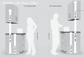 Standard Kitchen Cabinet Dimensions Singapore In 2020 Kitchen Cabinet Dimensions Popular Kitchen Designs Kitchen Cabinet Design Plans