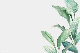 Hand Drawn Tropical Leaves On A White Background Vector Premium Image By Rawpixel Com Watercolor Desktop Wallpaper Desktop Wallpaper Art Imac Wallpaper