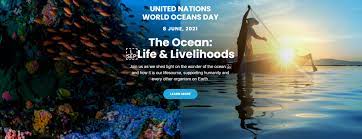 Oceans absorb about 30 per cent of carbon dioxide produced by humans the purpose of the day, as such, is to inform people of the impact of human actions on the ocean. World Oceans Day 2021 The Ocean Innovation Challenge Oic Undp