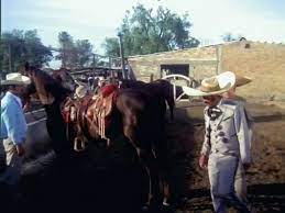 Humberto elizondo kauffman (born june 19, 1947) is a mexican actor of film and television, the son of mexican diplomat humberto elizondo alardine and canadian actress fannie kauffman. Vicente Fernandez El Arracadas Pt1 Video Dailymotion