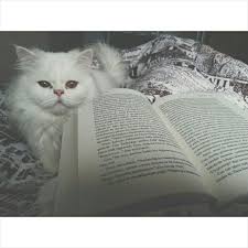 Kitaplari Ve Hayvanlari Insanlardan Daha Cok Sevdigim Dogrudur Hayvan Kitap Fotograf