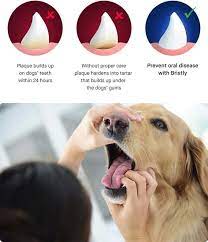 Maybe you would like to learn more about one of these? Dogs Brush Their Own Teeth Www Macj Com Br
