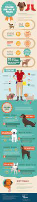 A Ruff Guide To Walking Your Dog In Wellies Infographic Animal Dogs Pet Dog Walking Business Dog Walking Dog Collar Boy