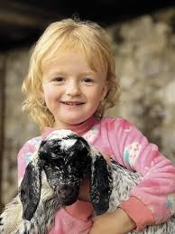 Skilderbokke bring 'stille bevrediging' in strawwe Karoo