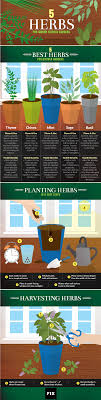 Having a focus might help you narrow down which herbs to start or purchase. 5 Kitchen Herbs For Small Garden Spaces Fix Com