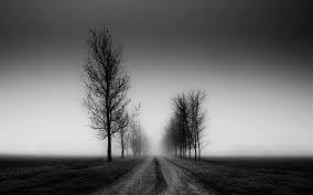 Black And White Desktop Wallpapers Top Free Black And White Desktop Backgrounds Wallpaperaccess Download hd black and white wallpapers best collection. black and white desktop wallpapers