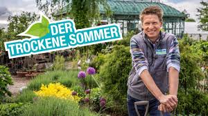 Finden sie im beitrag alles über kübelpflanzen, sträucher, bäume und palmen und über. Pflanzen Die Wenig Wasser Brauchen Hitzevertragliche Pflanzen Youtube