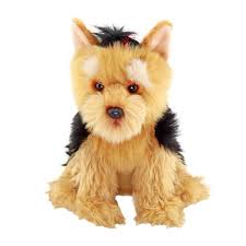 Floppy Yorshire Terrier Pelus Kopek 28 Cm Toyzz Shop