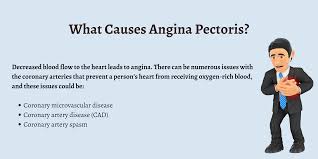 Image result for Angina Pectoris