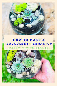 How To Make A Succulent Terrarium Easy Affordable Terrarium Ideas For Kids And Adults Terrar Diy Succulent Terrarium Succulent Garden Diy Succulent Terrarium