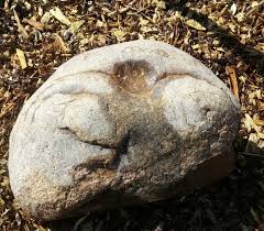 The Fruit Tree Mud Bath Salon