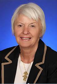 Culturally and Linguistically Diverse Parties in the Courts: A Chinese Case  Study