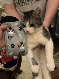 This will make the best memorial keepstake gift for someone who love cats. Custom Cat Socks For Cat Lovers Buy 2 Get 1 Free Catsforlife Co