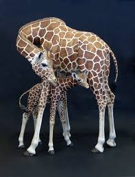 Giraffes Paper Mache Sculpture Giraffe Paper Mache Art