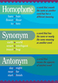 Chart Homophone Synonym Antonym