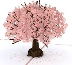 Perfect for mother's day (why not. Amazon Com Lovepop Cherry Blossom Classic Pop Up Card 3d Card Mother S Day Card Pop Up Mother S Day Call Card For Wife Card For Mom Anniversary Pop Up Card Greeting Card