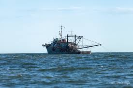 Image result for trawling