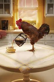 желаю всем такого лета чтоб было не до интернета Zhelayu Vsem Takogo Leta Chtob Bylo Ne Do Interneta Good Morning Quotes Rooster Inspirational Quotes Motivation