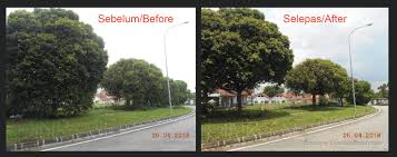 Cmd jb 1.256 views1 year ago. Perkhidmatan Mencantas Tebang Pokok Daerah Johor Bahru Home Facebook