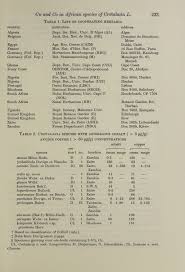 Image result for Crotalaria prolongata