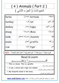 حمل اقوي خطة علاجية في اللغة الانجليزية للطلاب الضعاف في كل المراحل