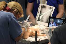 Utmb School Of Nursing | Neonatal Nurse Practitioner Program | Graduate  Programs | Utmb Health