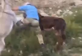 سکس اسب با انسان - tanach-tashach.m-yehuda.org.il