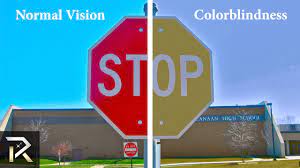 As a result, blues appear greenish ; 10 Ways Color Blind People See The World Youtube