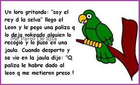 Lorito Funny Phrases Humor Funny Quotes