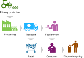 Australia S Food And Nutrition 2012 In Brief In Brief Australian Institute Of Health And Welfare