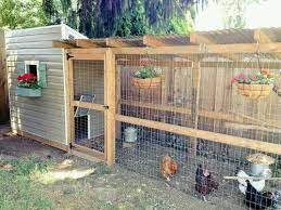 pin on coops chicken garden walk in chicken coop chicken diy