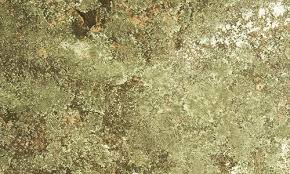 Sign up for free and download 15 new to textures.com? 35 Appreciable Lichen And Moss Textures Naldz Graphics