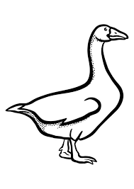 Kretschmer dämpft hoffnung auf osterurlaub. Malvorlage Gans Kostenlose Ausmalbilder Zum Ausdrucken Bild 29631