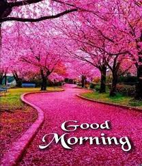 Anne - I love beautiful flowers | Facebook