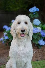 Hayden Phillips Photography