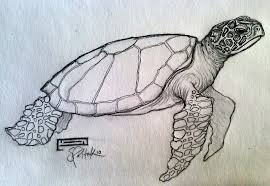 Turtle Sketch Home Sea Turtle Drawing Gallery Also Try Turtle Drawing Turtle Sketch Sea Turtle Drawing