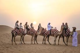 We offer only excellent local experienced local. Dubai Sunrise Camel Trek With Morning Breakfast At Bedouin Camp 2021