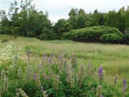 411a Stream Road Winterport, ME