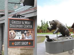 Restrooms grizzly & wolf discovery center the grizzly claw restaurant. Grizzly And Wolf Discovery Center West Yellowstone Montana Taste And Tell
