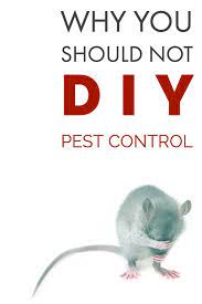 This is why most home owners cope with severe pest infestation rendering it even more difficult to solve it. Diy Pest Control Why You Shouldn T Diy Pest Control Pest Control Organic Gardening Tips