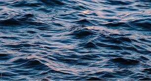 Online shopping from a great selection at movies & tv store. About Atlantic Sapphire