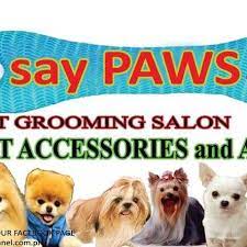 We went in on the same litter as our friends who live nearby and playful paws embraced the occasion and even walk the sisters together. Say Paws Pet Grooming Salon Home Facebook