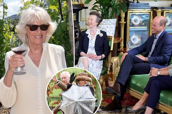 Prince William, Princess Anne to step up as 'exhausted' Queen Camilla jets off on vacation: report