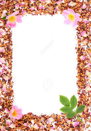 Scopri su eprice la sezione cornice fiori e acquista online. Immagini Stock Cornice Di Chicchi Di Te Petali Di Rosa Selvatica Essiccati E Fiori Freschi In Fiore Copia Spazio Per Testo O Iscrizione Image 84399856