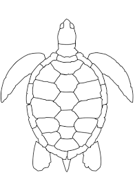 Elegant and sleek in their underwater world. 35 Free Turtle Coloring Pages Printable