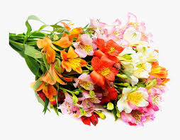 Maybe you would like to learn more about one of these? Flower Bouquet Cut Flowers Wedding Rose Beautiful Flowers Bouquet Images Hd Hd Png Download Kindpng