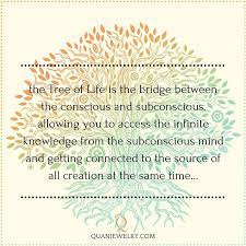 the tree of life as symbol knowledge explorer les couleurs beiges coloriages