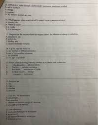 An animal cell is placed into a hypertonic solution. 15 Diffusion Of Water Through A Differentially Chegg Com